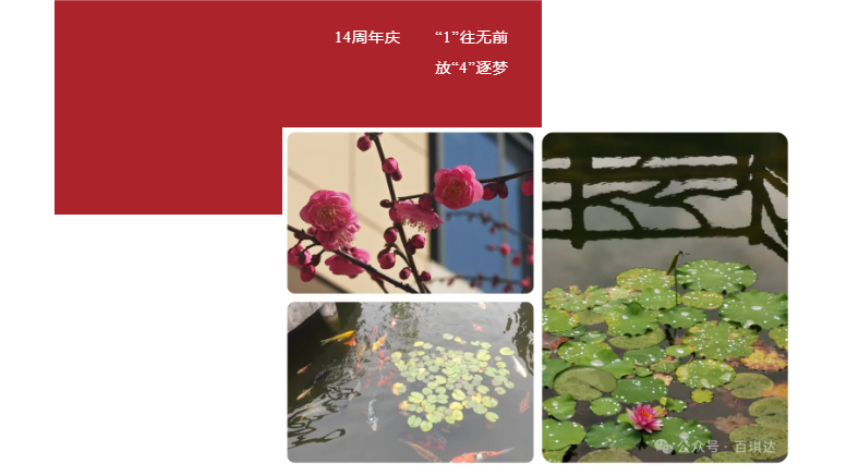 百琪達(dá)周年慶 | “1”往無前，放“4”逐夢